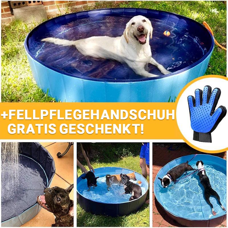 PetSwim© - Faltbarer Hundepool + GRATIS Fellpflegehandschuh